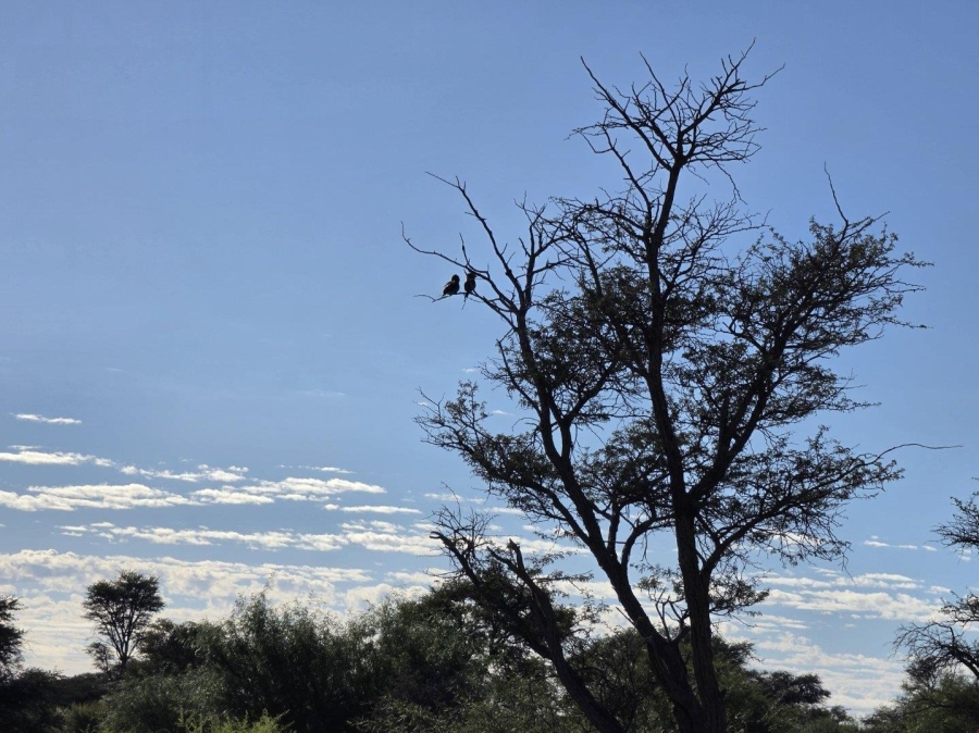 Commercial Property for Sale in Upington Rural Northern Cape